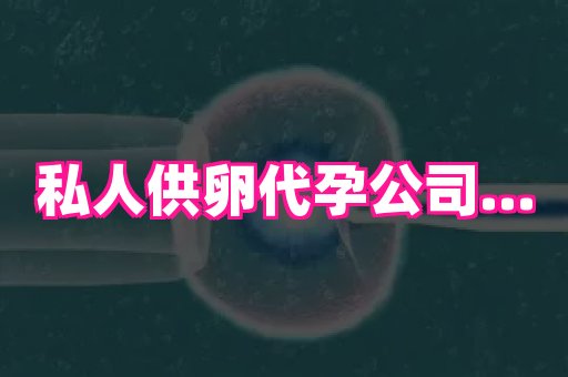 河南助孕网站 1