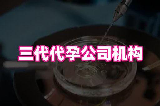 河南助孕网站 2