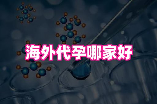 河南助孕网站 3