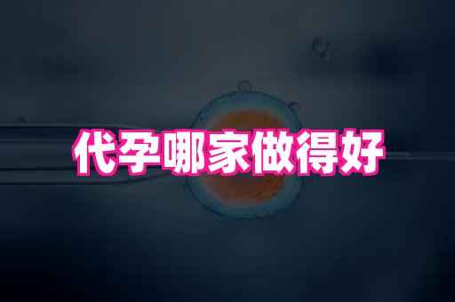 河南助孕网站 4